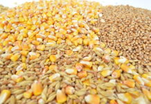 Запасы зерна в сельхозпредприятиях РФ составляют менее 10 млн тонн