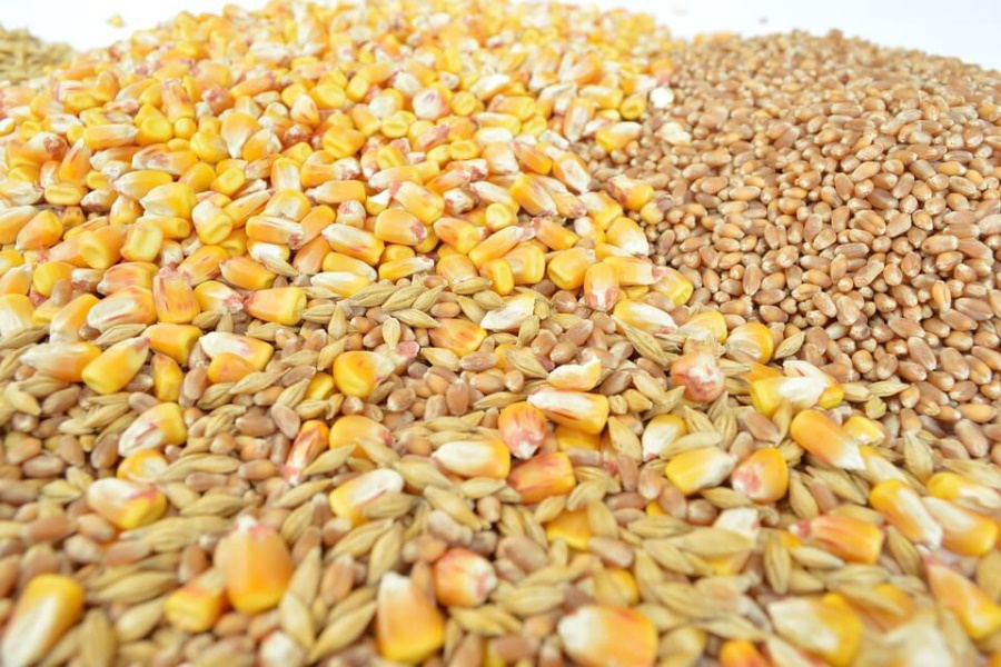 Запасы зерна в сельхозпредприятиях РФ составляют менее 10 млн тонн