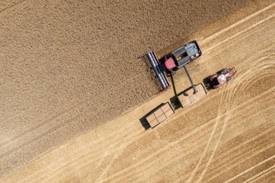 РЗС прогнозирует рекордный урожай пшеницы в размере 83-84 млн тонн