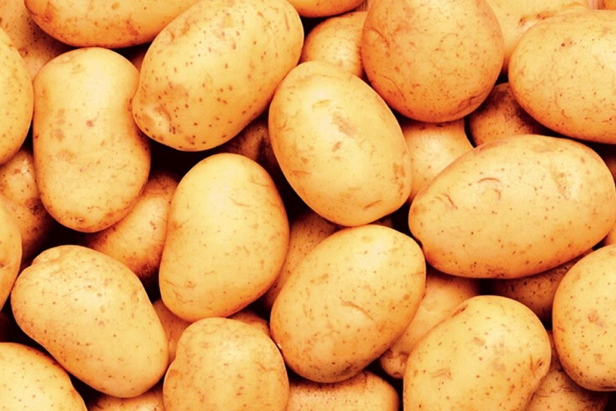 Столетнюю липецкую картофельную компанию отдают во внешнее управление кредитору