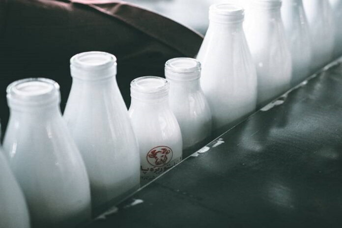 Молочный завод в Ростовской области три года поставлял продукцию с антибиотиками