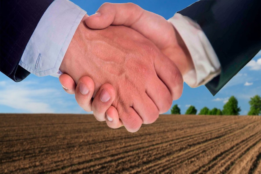 Турция намерена арендовать украинские сельскохозяйственные земли
