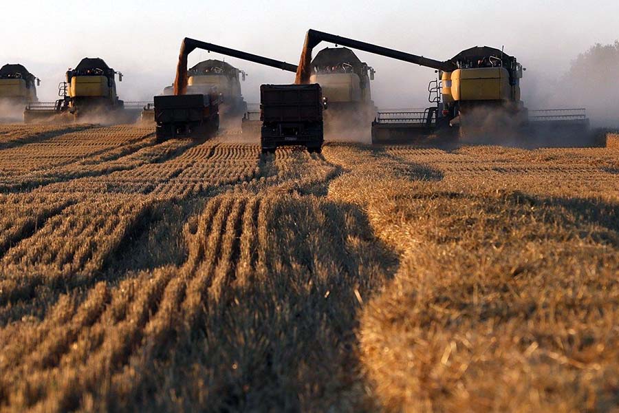 Сельское хозяйство стало антилидером российской экономики