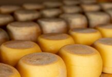 Доля фальсификата среди сыров "Гауда" и "Эдам" составляет 28%