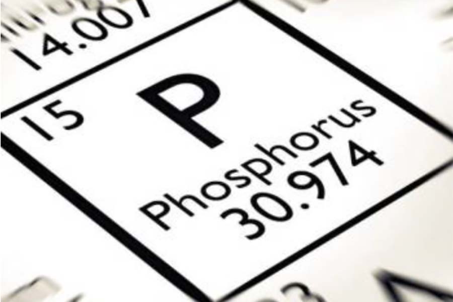 Фосфор и растения