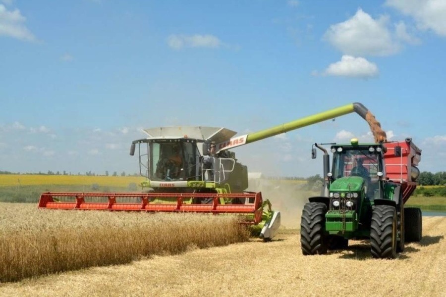 На полях Кубани собрали первый миллион тонн пшеницы