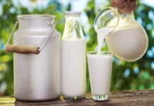 Россия через пять лет может полностью удовлетворить внутренние потребности по молоку