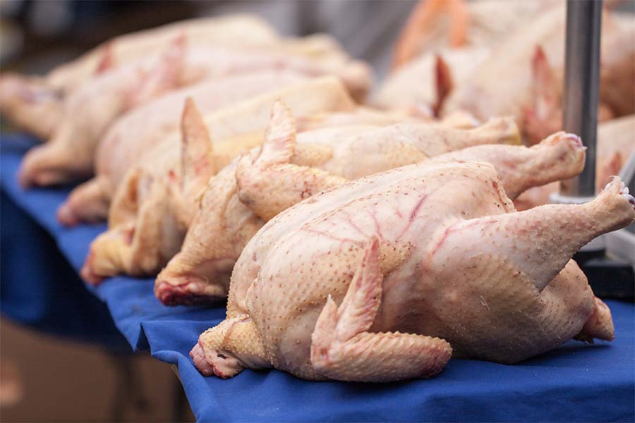 Птицеводство и качество мяса