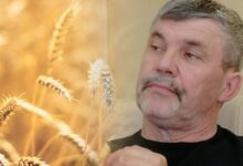 Волгоградский фермер Андрей Прошаков назвал действия российских производителей опаснее диверсии