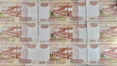 Фермера в Карачаево-Черкесии осудили на шесть лет за аферу с субсидиями