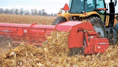 Высокая производительность уборки кукурузы не должна вызывать повреждения зерна и роста потерь
