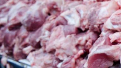 В Брянской области фермеры начали выдавать «промышленное» мясо за «свое»