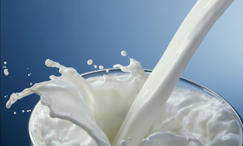Жителей Брянской области предупредили о поддельной молочной продукции из Пятигорска