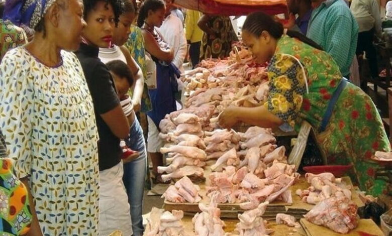 Россия наращивает экспорт мяса птицы в страны Африки