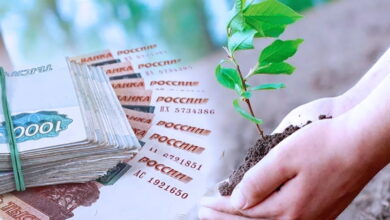Ряд регионов РФ получит 899 миллионов рублей на поддержку аграриев