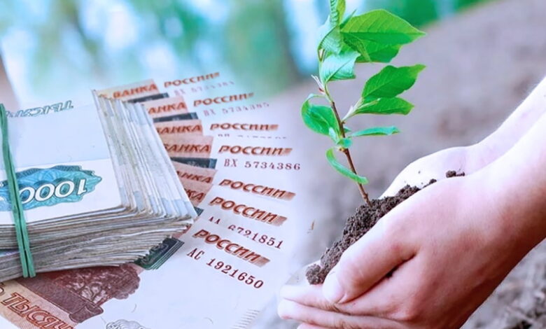 Ряд регионов РФ получит 899 миллионов рублей на поддержку аграриев