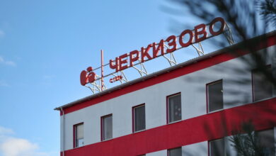 Акционеры группы "Черкизово" утвердили решение о выплате дивидендов