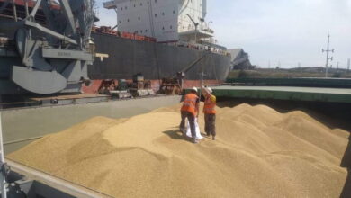 В России создадут собственный грузовой флот для экспорта продовольствия