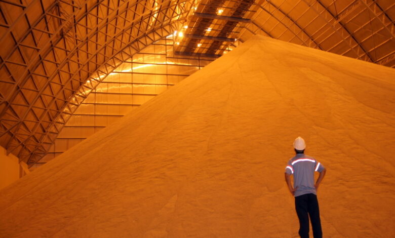 Грандиознейшие запасы будут сдерживать рост цен на российское зерно на мировом рынке