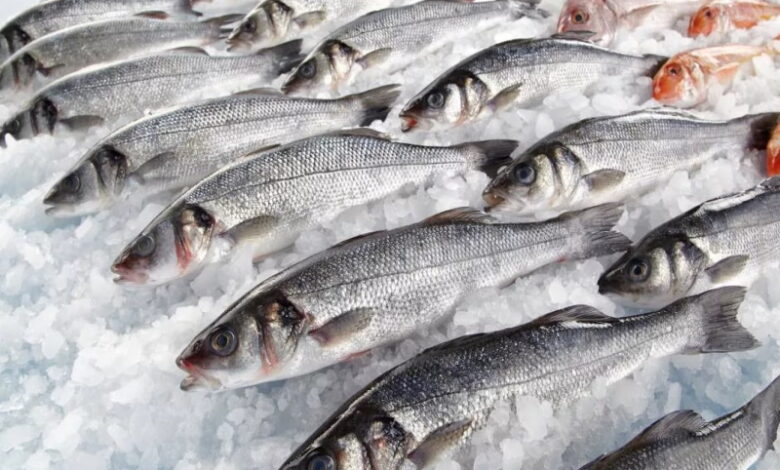 Китай разрешил поставки рыбной продукции еще 33 российским предприятиям
