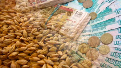 Зарубежные госкомпании смогут закупать зерно на российских биржах — Союз экспортеров