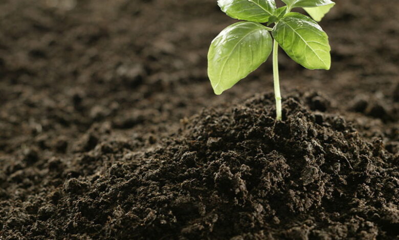 Как сделать органическое удобрение