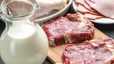 В России значительно увеличилось производство мяса и молока