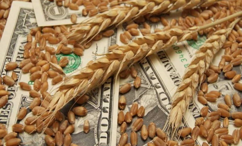 Цены на пшеницу достигли рекордного значения с 23 ноября — Bloomberg