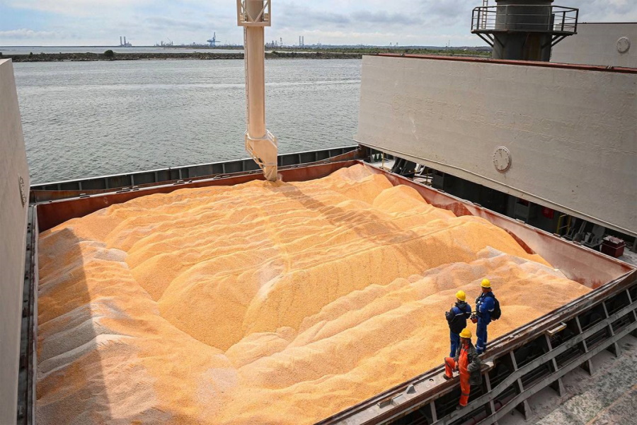 Экспорт пшеницы в январе составит рекордные 4 млн тонн