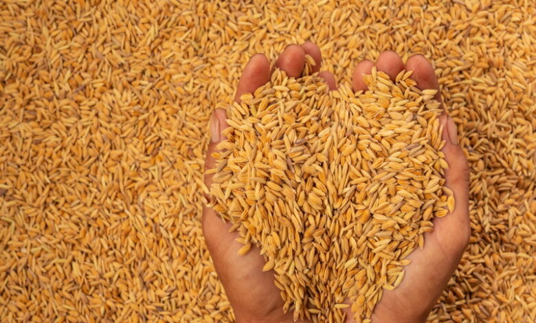 ООН надеется на продление зерновой сделки
