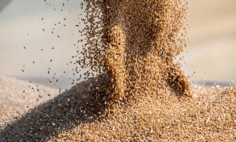 В хранилищах России скопились миллионы тонн зерна