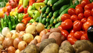 В России снизилась стоимость овощной продукции — Росстат