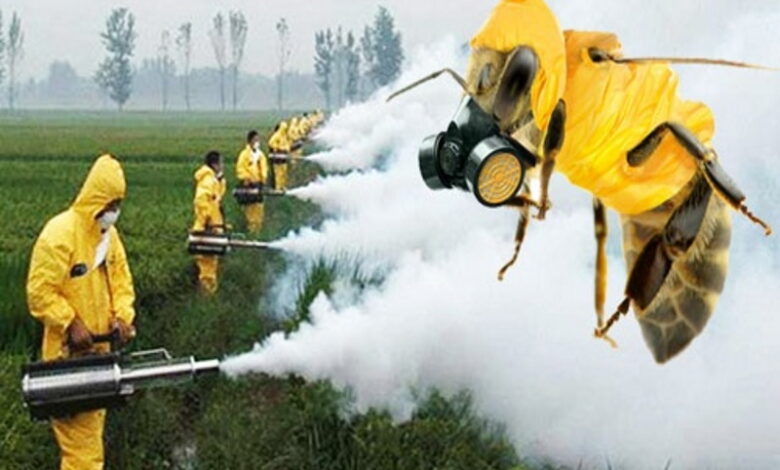 Пестициды — далеко не единственная причина гибели пчел