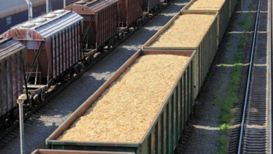 Экспортеры зерна создадут собственный вагонный парк