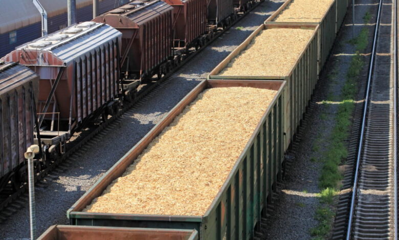 Экспортеры зерна создадут собственный вагонный парк
