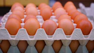 Rabobank: мировые цены на яйца достигли исторически высокого уровня