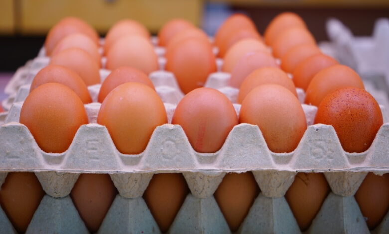 Rabobank: мировые цены на яйца достигли исторически высокого уровня