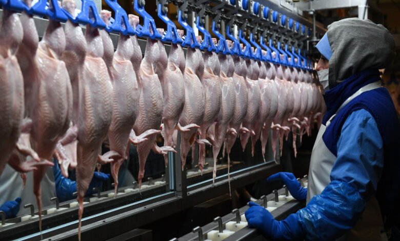 Российских птицеводов беспокоит рост поставок мяса птицы из Китая