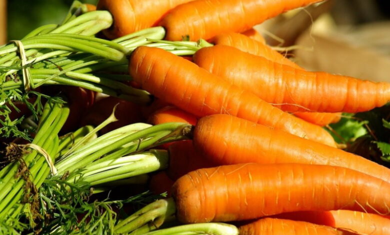 Какое удобрение лучше вносить для моркови
