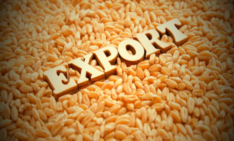 Россия наращивает экспортные возможности