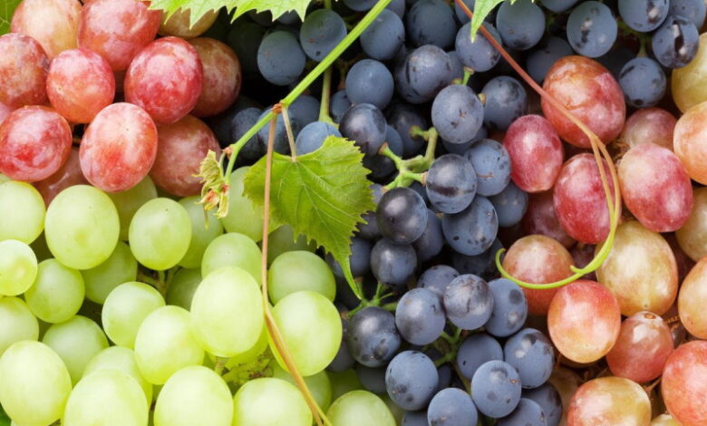 Чем подкормить виноград, чтобы он был крупный и сладкий