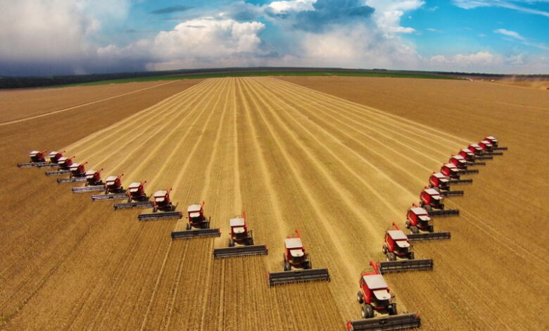 Сельское хозяйство России достигло новых высот