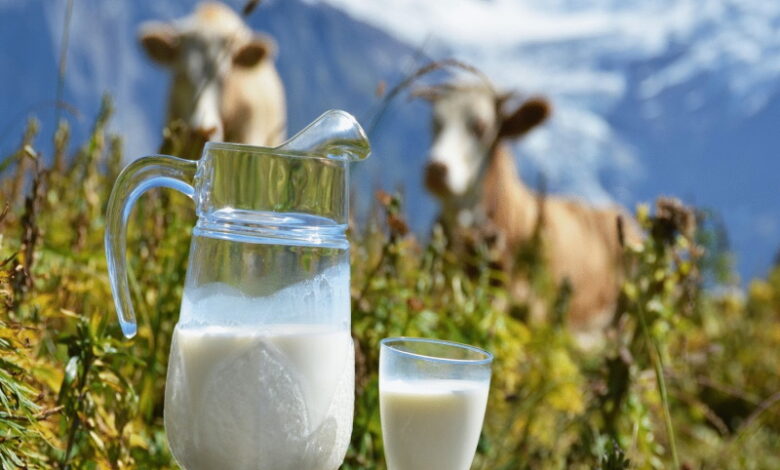 Молоко будет стоять неделями и не будет киснуть. Вот что нужно добавить