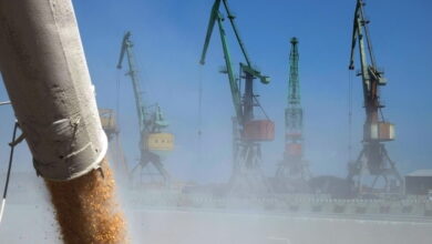 «Порт Высоцкий» в Ленобласти начал экспортировать зерно