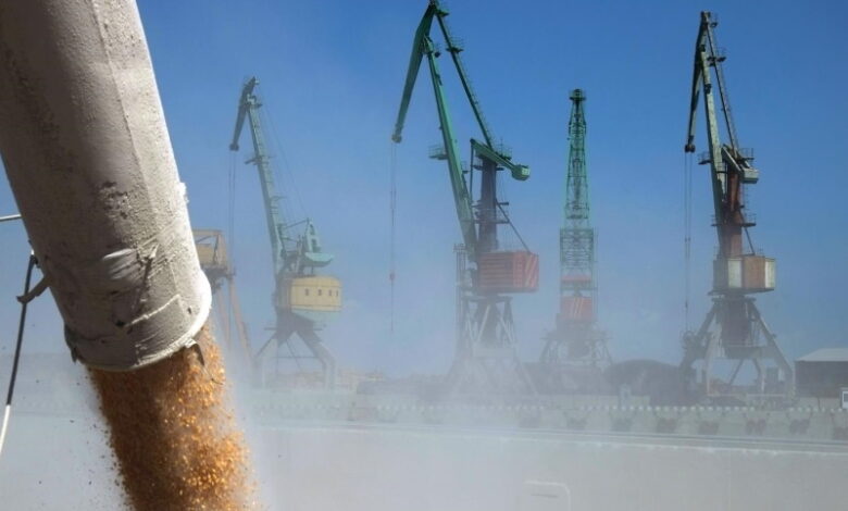 «Порт Высоцкий» в Ленобласти начал экспортировать зерно
