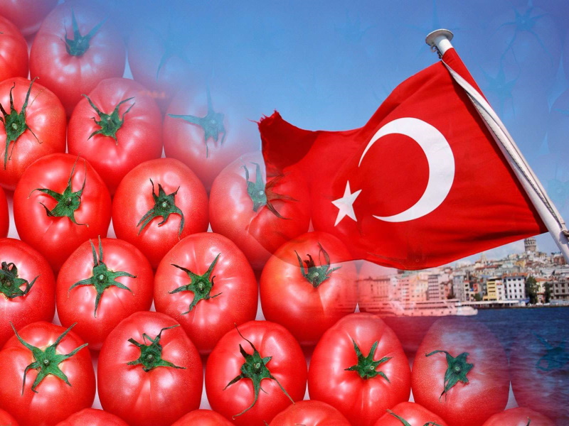 Минсельхоз РФ увеличил квоту на поставки томатов из Турции