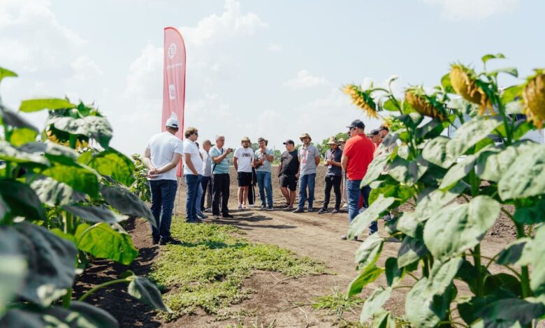 Сельхозпроизводители со всей России впервые увидели поля гибридизации «Лимагрен»