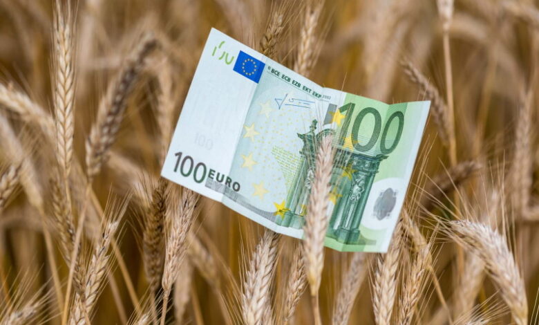 Спрос на закупки пшеницы у аграриев сохраняется — Союз экспортеров зерна