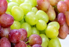 Когда ягоды винограда начинают созревать, их нужно обработать содой