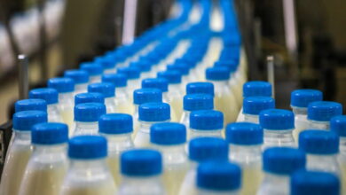 Власти Ленобласти модернизируют действующие молочные производства